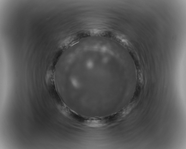 X0000086220419200704121900