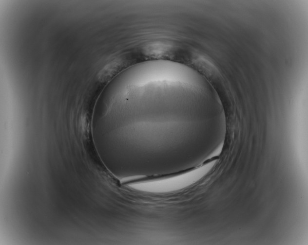 X0000086220420200704121900