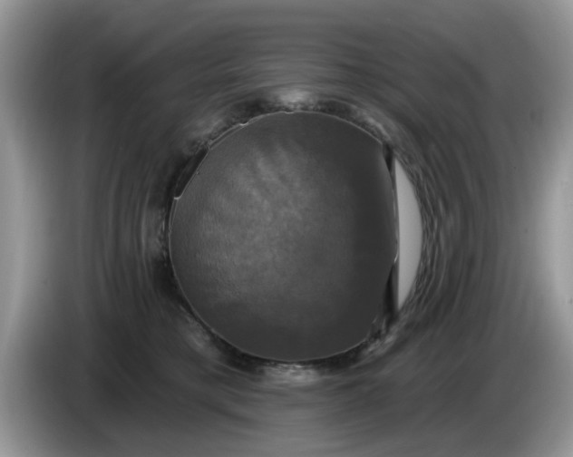 X0000086220421200704121900