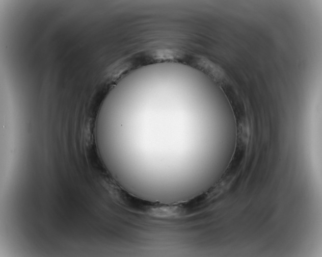 X0000086220422200704121900