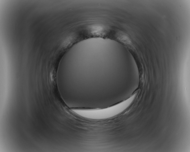 X0000086220424200704121900