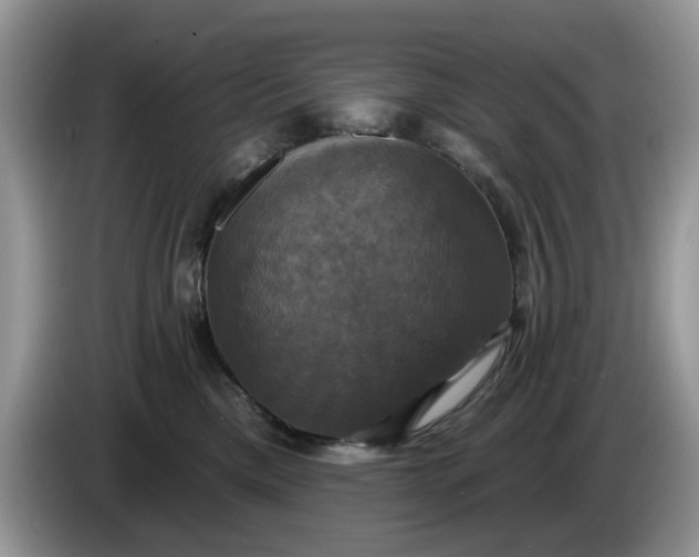 X0000086220425200704121900