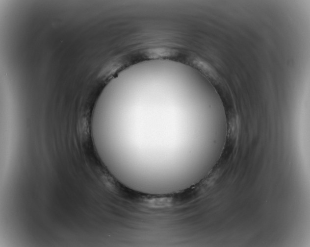 X0000086220426200704121900