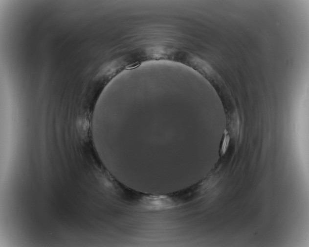 X0000086220427200704121900