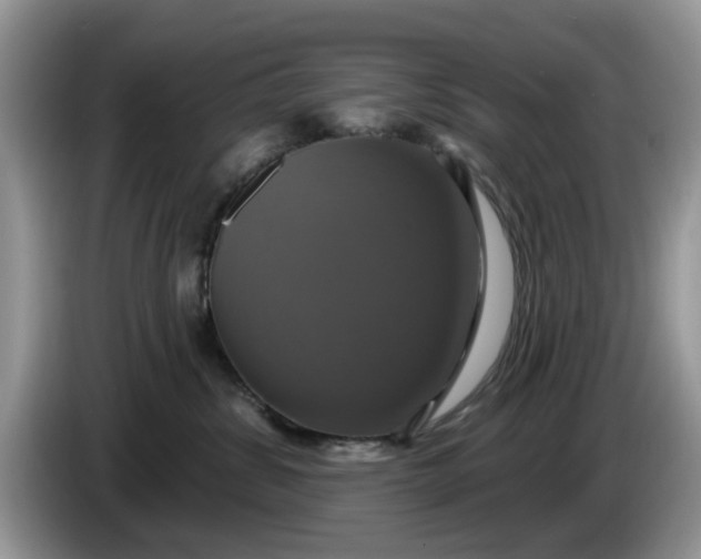 X0000086220428200704121900