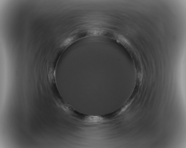 X0000086220429200704121900