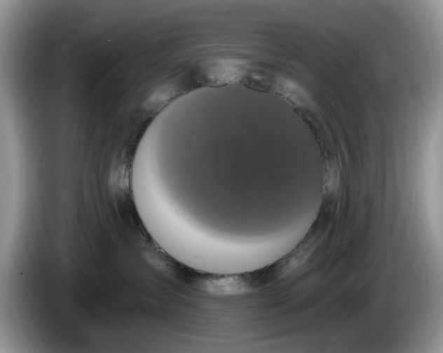 X0000086220431200704121900