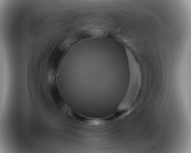 X0000086220432200704121900