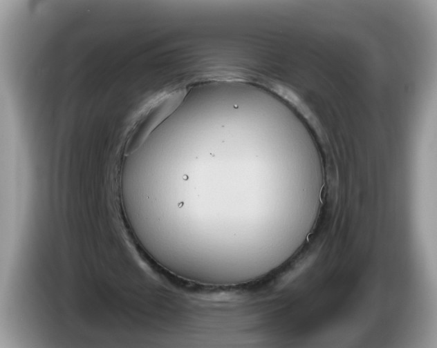 X0000086220433200704121900