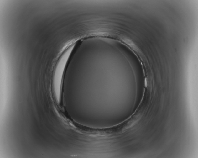 X0000086220434200704121900