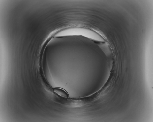 X0000086220438200704121900