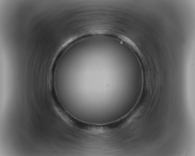 X0000086220439200704121900