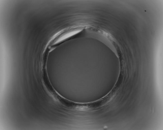 X0000086220440200704121900