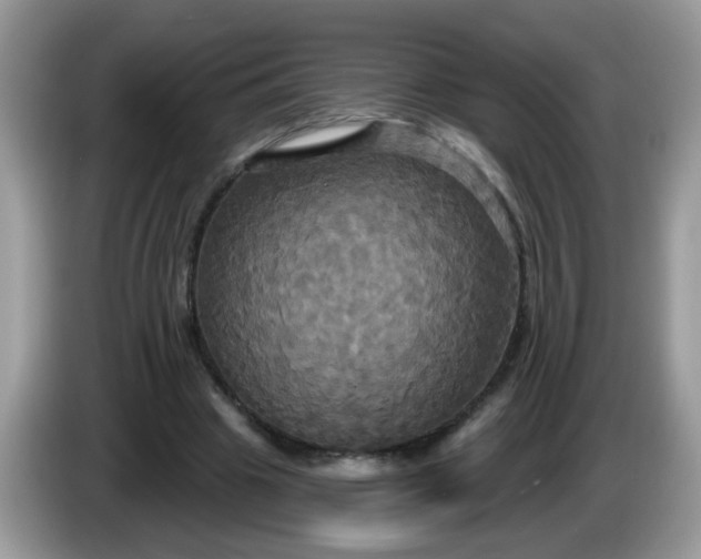 X0000086220441200704121900