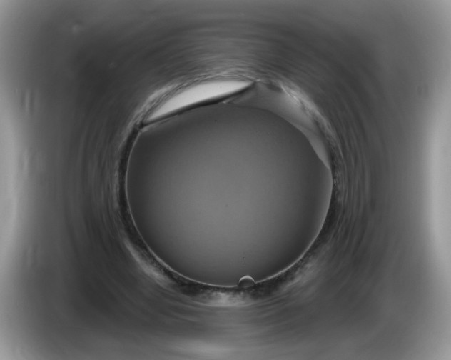 X0000086220442200704121900