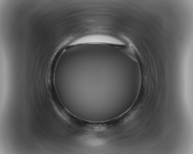 X0000086220443200704121900