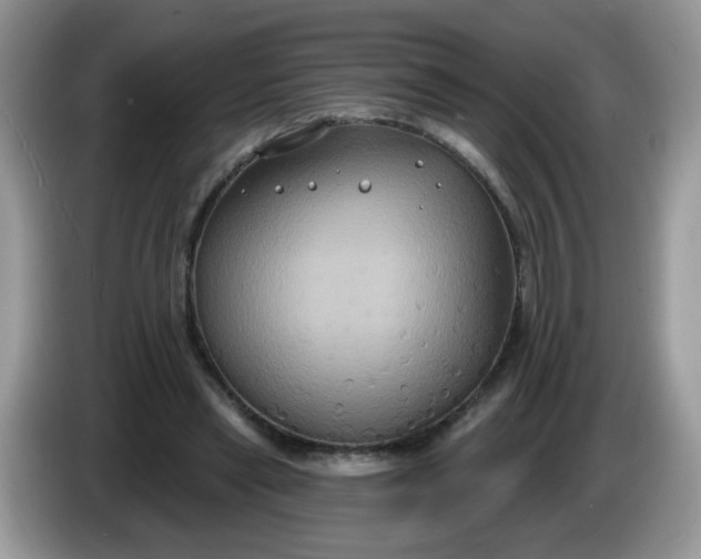 X0000086220445200704121900