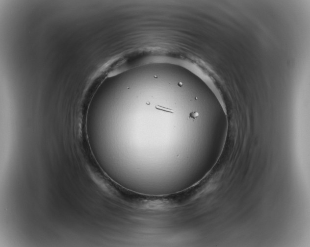 X0000086220446200704121900