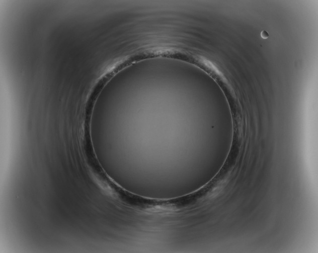 X0000086220447200704121900