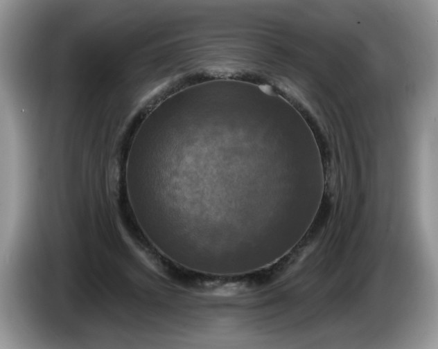 X0000086220448200704121900