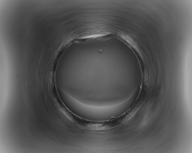 X0000086220449200704121900