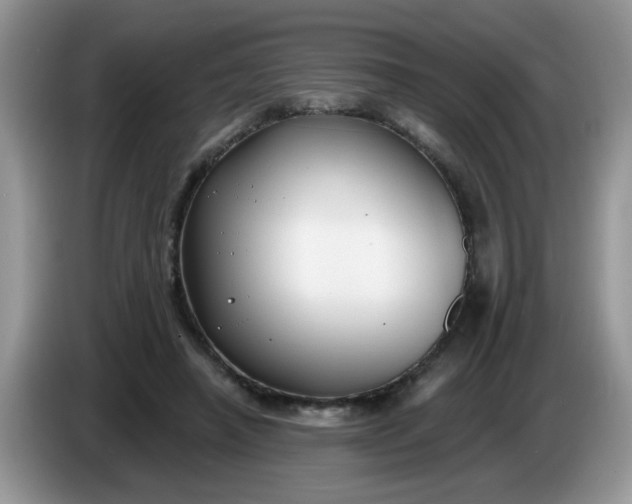 X0000086220450200704121900