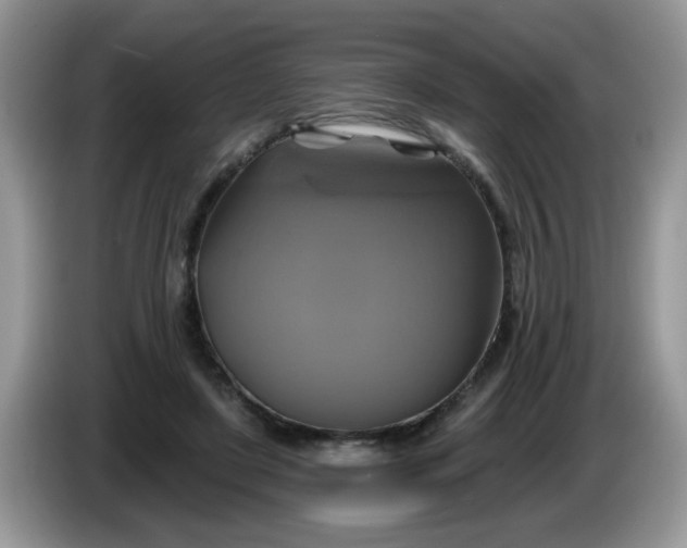 X0000086220451200704121900