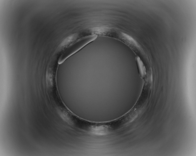 X0000086220452200704121900