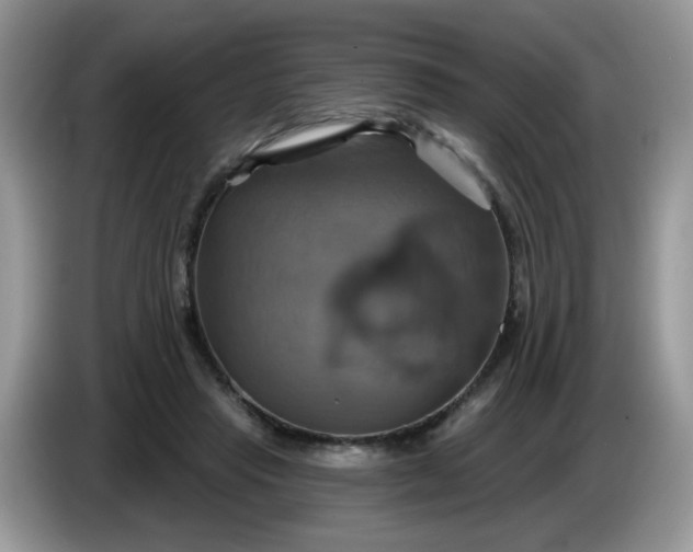 X0000086220453200704121900