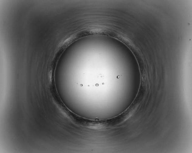 X0000086220454200704121900