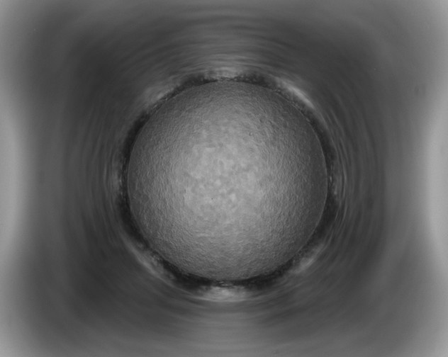 X0000086220455200704121900