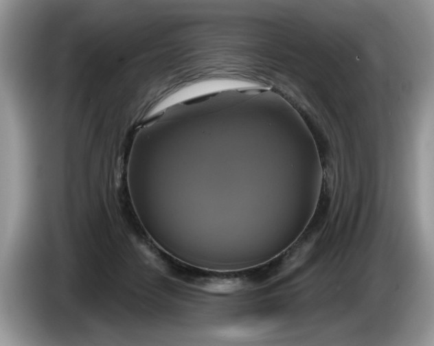 X0000086220458200704121900