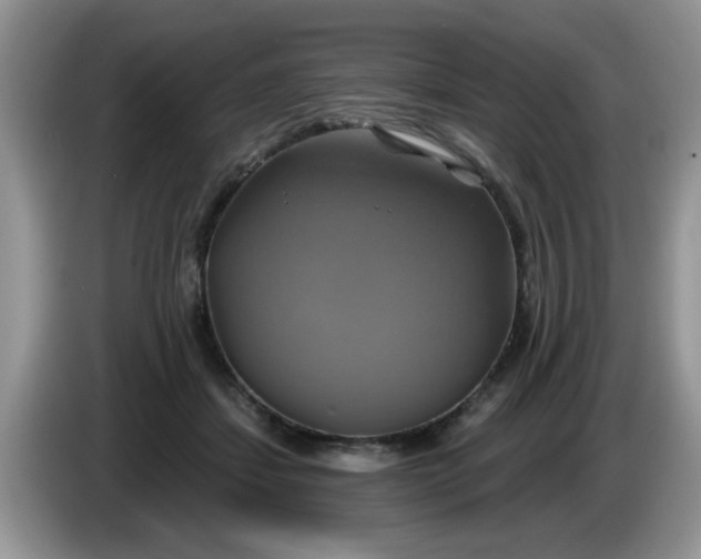 X0000086220459200704121900