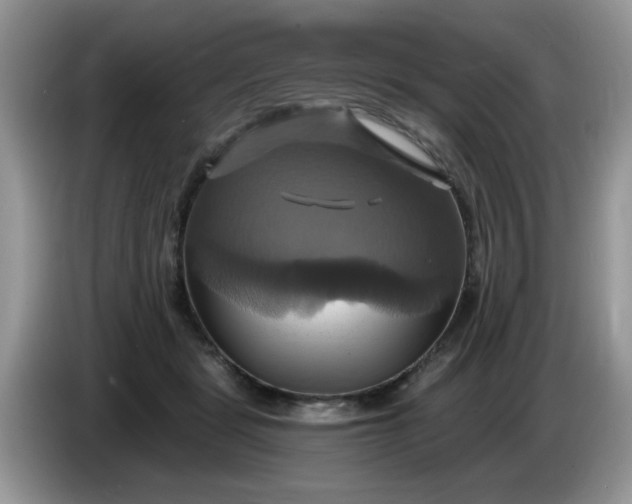 X0000086220461200704121900