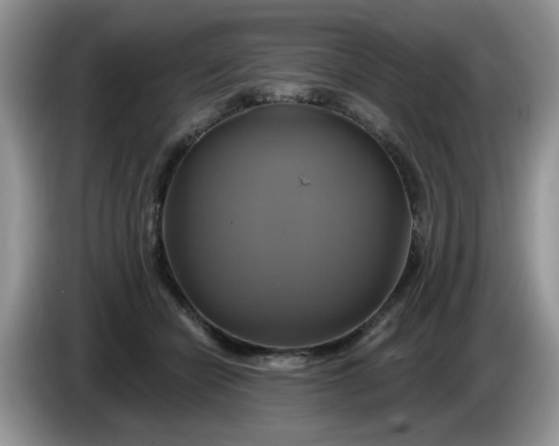 X0000086220462200704121900