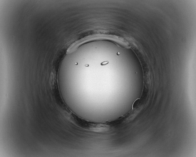 X0000086220463200704121900