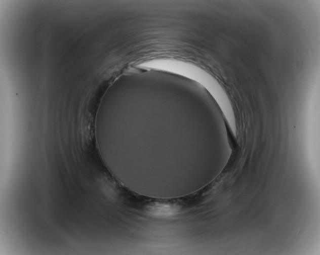 X0000086220464200704121900