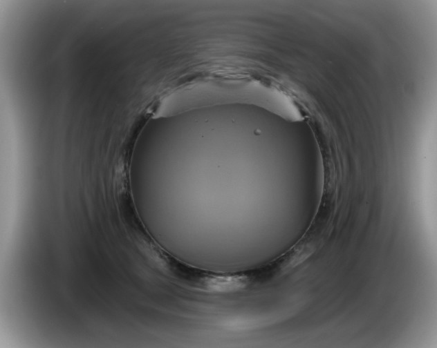 X0000086220465200704121900