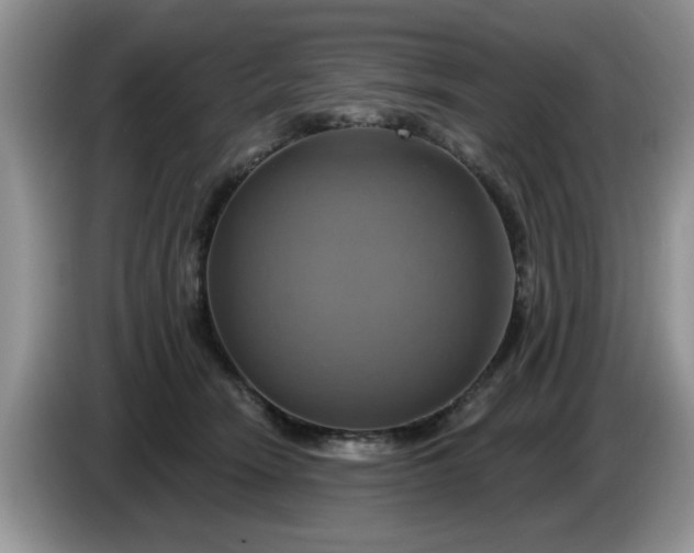 X0000086220466200704121900