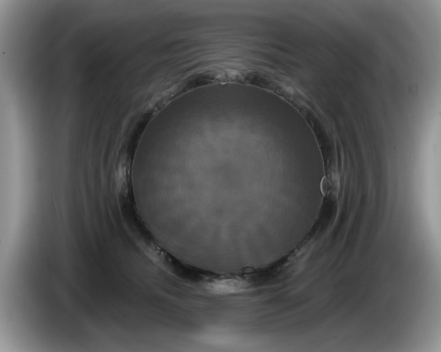 X0000086220468200704121900