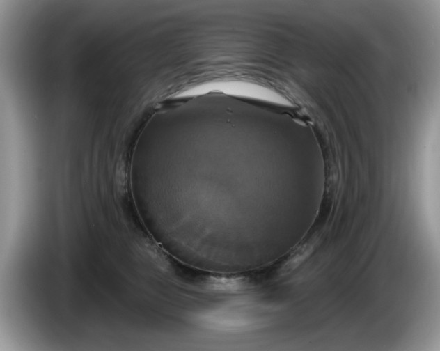 X0000086220469200704121900