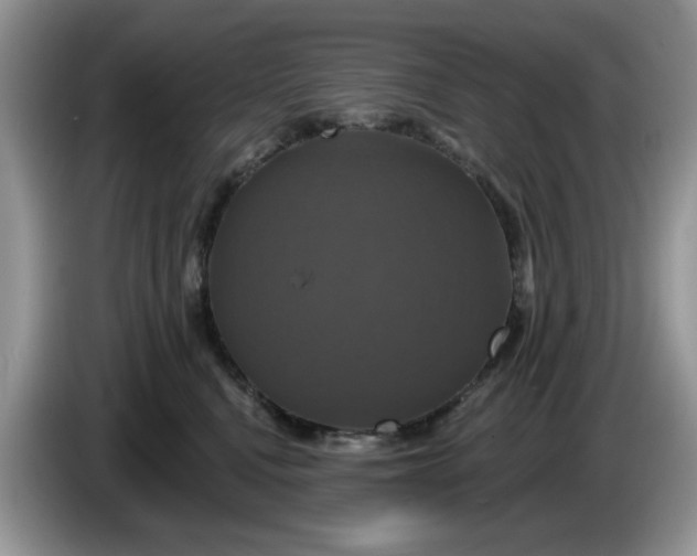 X0000086220472200704121900