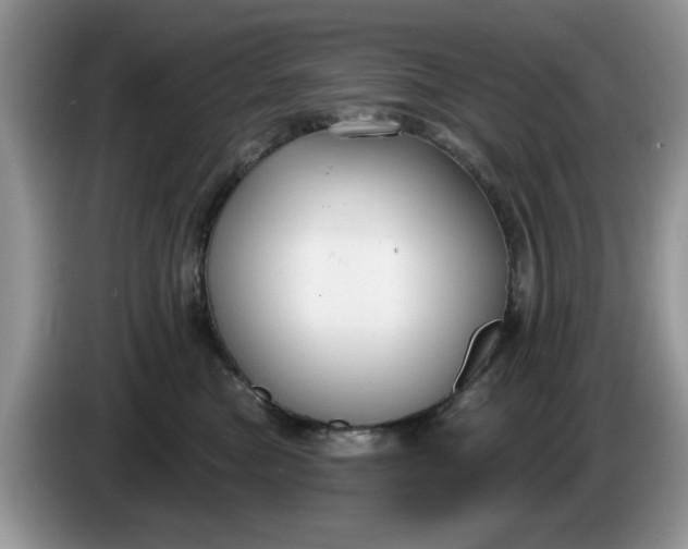 X0000086220473200704121900