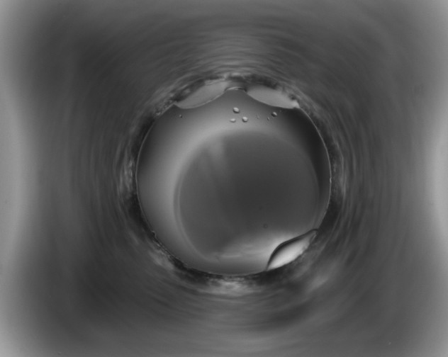 X0000086220475200704121900