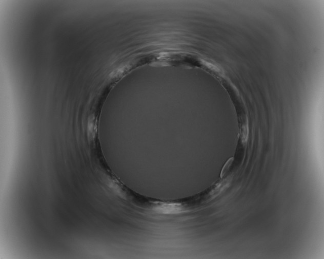 X0000086220476200704121900