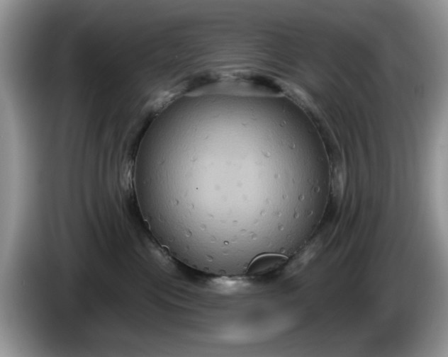 X0000086220477200704121900