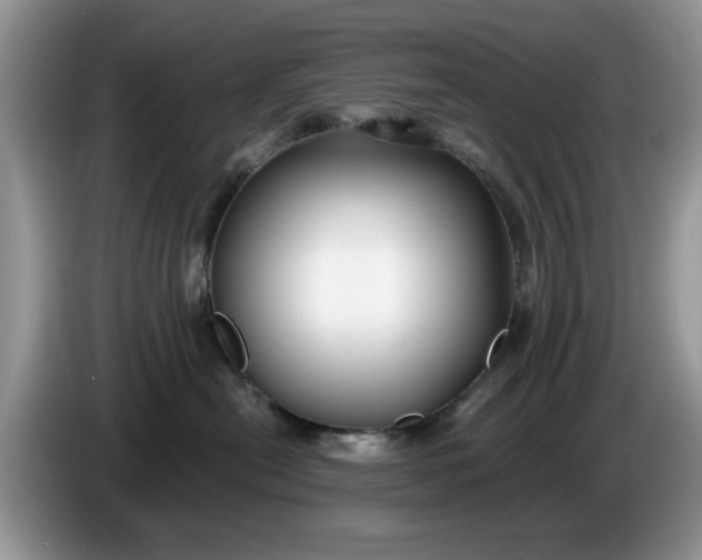 X0000086220478200704121900