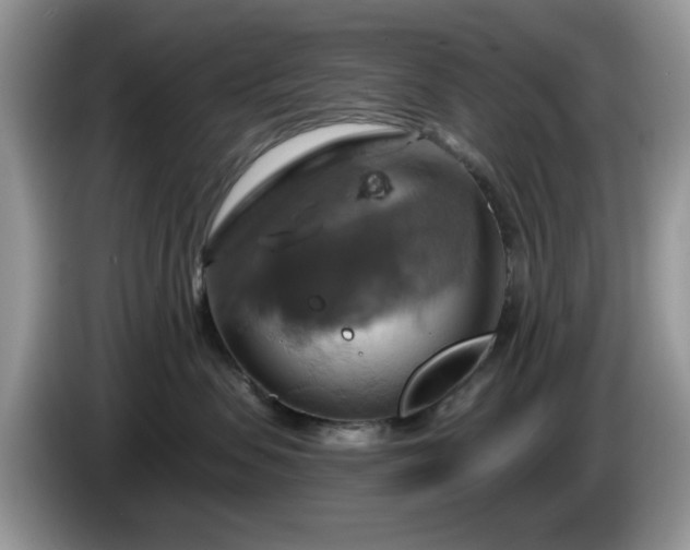 X0000086220479200704121900