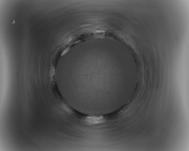 X0000086220480200704121900