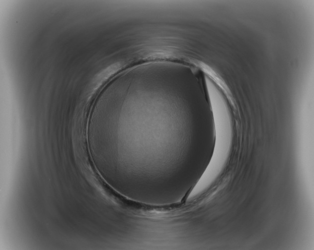 X0000086220481200704121900